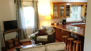 Un salon comprenant un canapé, un téléviseur, une table basse avec un vase, et un coin cuisine avec des tabourets et une machine à café.