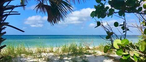 Beach nearby, sun-loungers