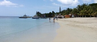 Tortuga Bahia Lower Unit