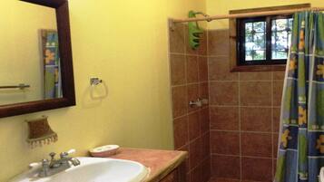 Apartment, 1 King Bed, Non Smoking | Bathroom | Shower, towels