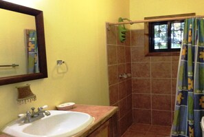 Apartment, 1 King Bed, Non Smoking | Bathroom | Shower, towels - Tortuga Bahia Lower Unit (Roatan)