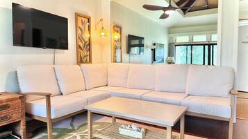 Smart TV, Netflix, books, streaming services