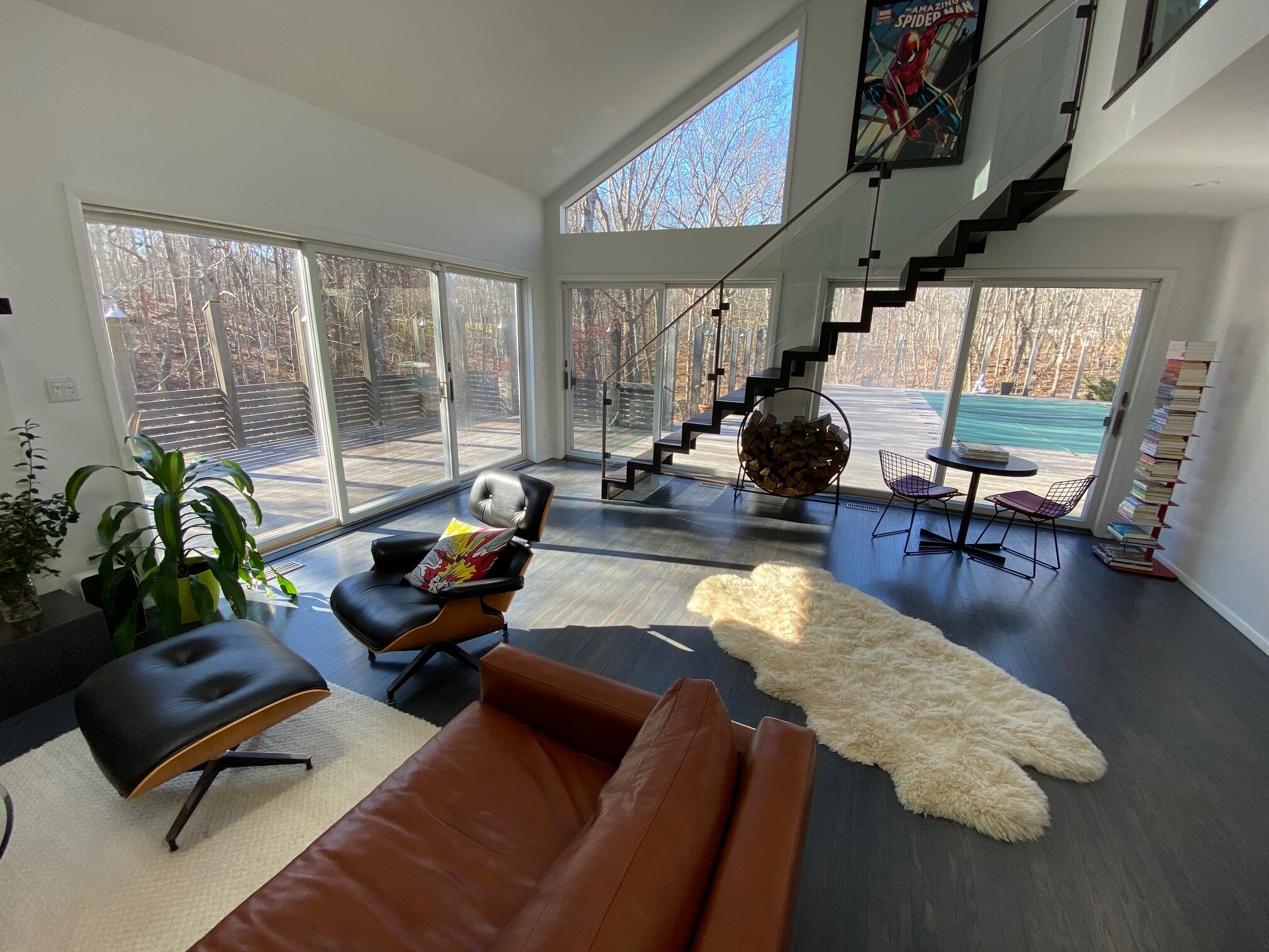 Smart TV, fireplace, DVD player, books