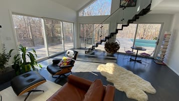 TV connectée, cheminée, lecteur de DVD, livres