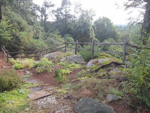 Property grounds - A Spectacular 50 Mile View of the Hudson Valley in all seasons (Saugerties)