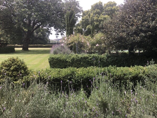 Terrein van de accommodatie