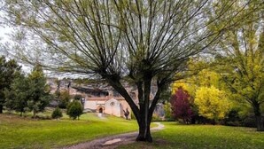 Um caminho bordeado por árvores leva a um edifício com janela circular, cercado por gramado e árvores coloridas.