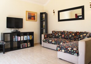 Fernseher, DVD-Player, Bücher, Videothek