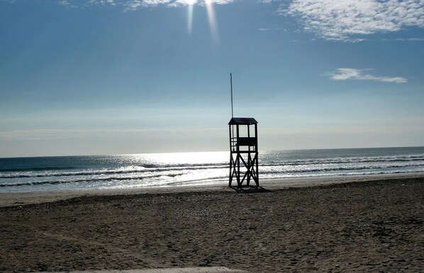 Strand