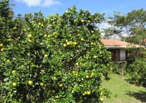 Terrain de lâhĂ©bergement
