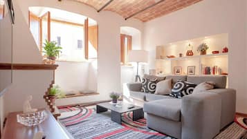 TV, caminetto, libri, videoteca