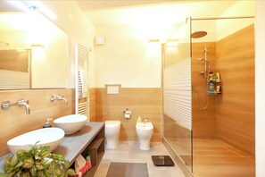 Shower, hair dryer, bidet, towels