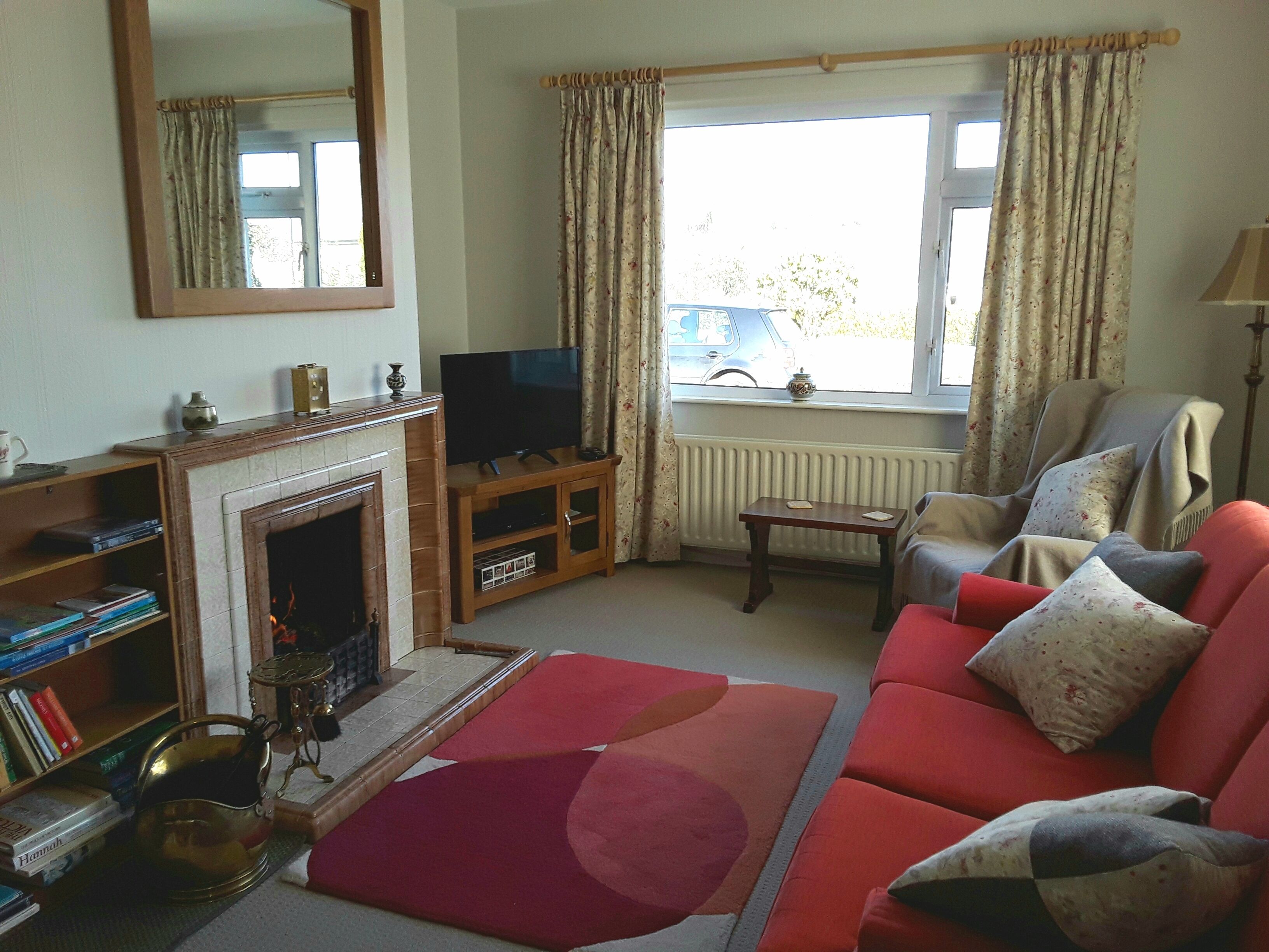 電視、壁爐、DVD 播放機、書籍