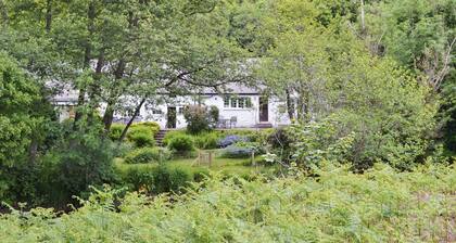 2 makuuhuoneen majoitus Llandadarnissa Fynyddissä lähellä Llandrindod Wellsia