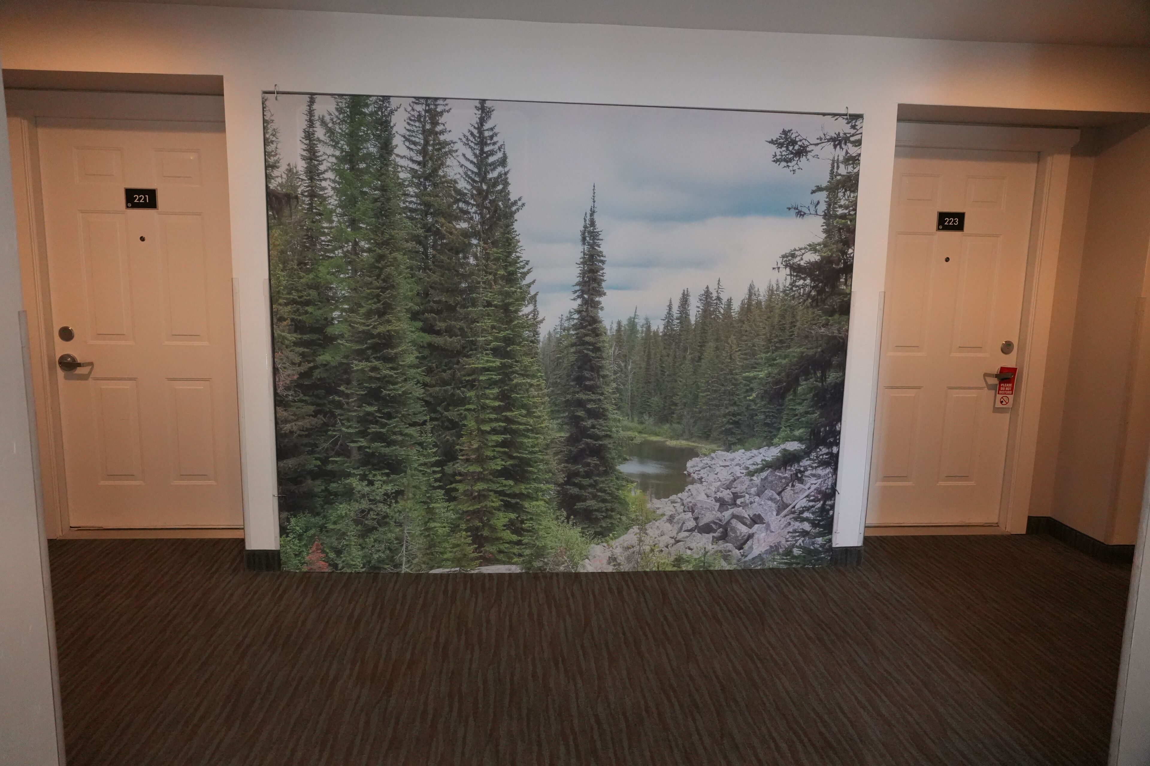 A hallway with two doors labeled 221 and 223, a carpeted floor, and a large scenic wall mural.