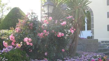 Un jardin agrémenté de rosiers roses, de fleurs violettes et d’un palmier devant un bâtiment doté d’un mur en pierre et d’une lanterne.
