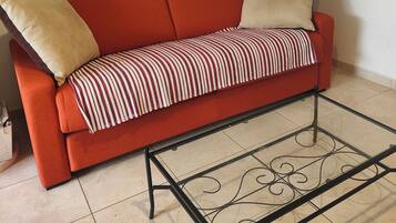 Flat-screen TV, DVD player, table tennis, books