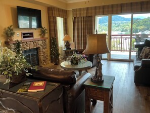 TV, fireplace, DVD player