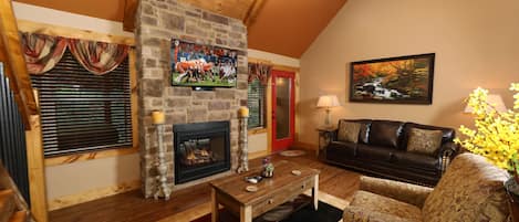 TV, fireplace, video games, DVD player