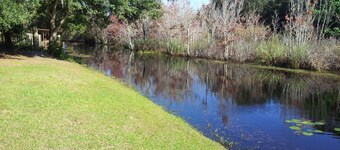 Cozy getaway on large private lot with miles of water!