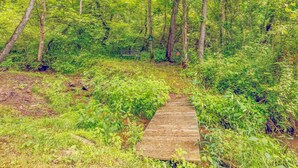 Un sendero de madera que atraviesa un bosque denso con árboles y follaje.