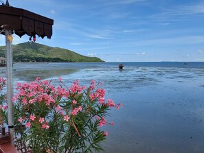 Breakfast, lunch, dinner served; seafood  - Ruantalay Bangsaray Resort (Sattahip)