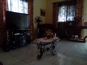 Televisor de pantalla plana 