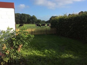 Imagen sin descripción, 4 de 12, botón