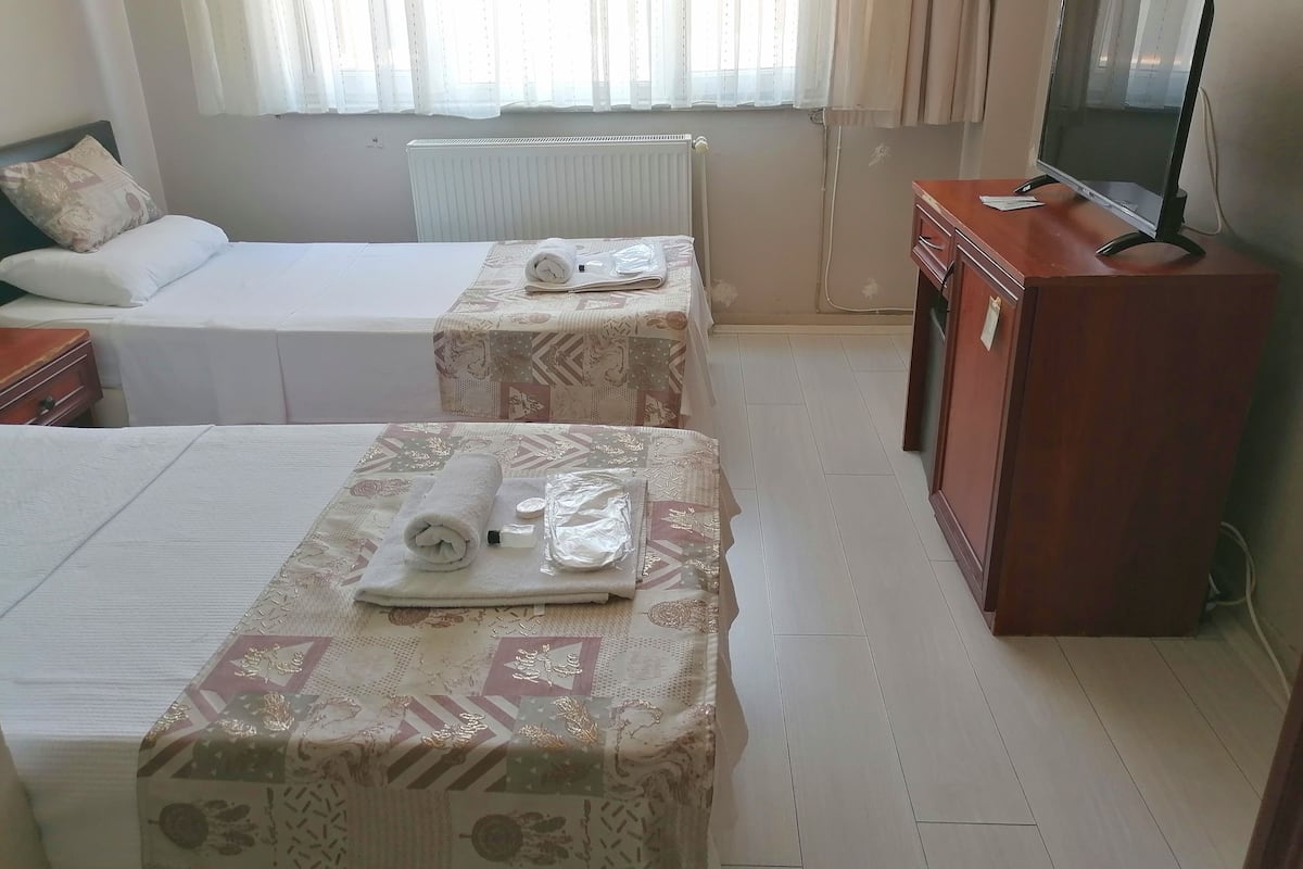Basic Twin Room | Desk, laptop workspace, soundproofing, free WiFi