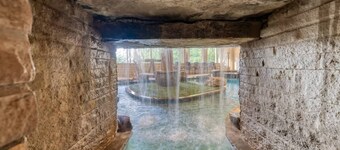 NOUVELLE LISTE!! Superbe Mountain Lodge: piscine intérieure; 6 chambres, 7 1/2 bains;