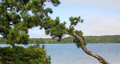 Huge Deck Outdoor Shower Dog Friendly!