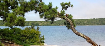 Huge Deck Outdoor Shower Dog Friendly!