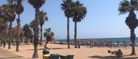 Playa en los alrededores y camastros