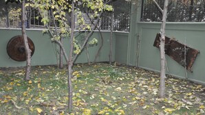 Un patio con árboles, una pared verde y una reja de metal.