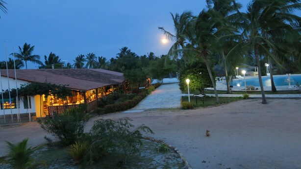 Un resort frente al mar con restaurante, palmeras y piscina.