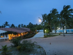 Un complexe hôtelier en bord de mer, doté d’un restaurant, de palmiers et d’une piscine.