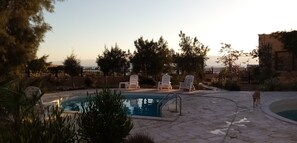 A swimming pool with lounge chairs and a small dog nearby. - Bungalow in Aqaba Gulf Red Sea (Aqaba)