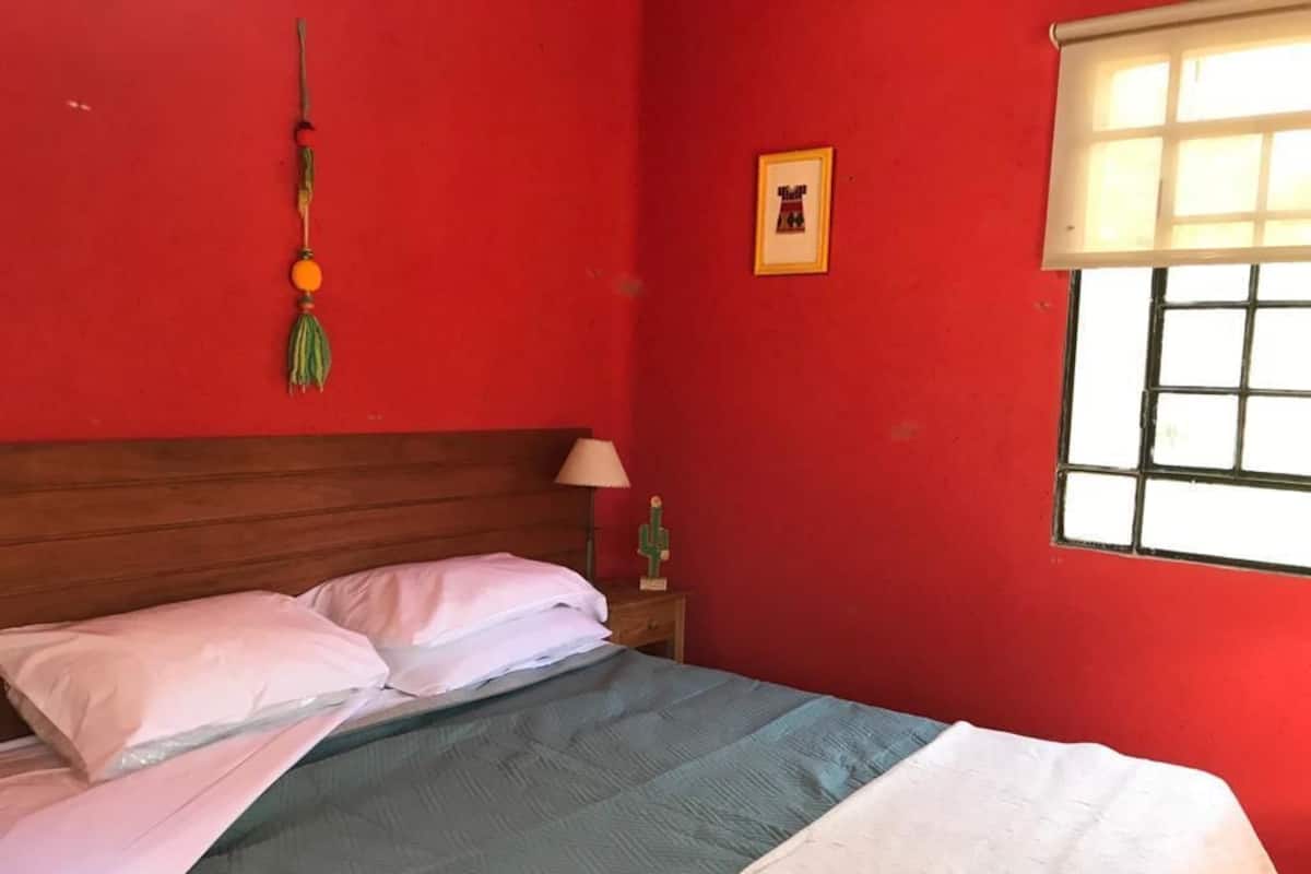 1 habitación, decoración personalizada y muebles diferentes