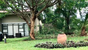 Un jardin aménagé avec un grand arbre, une plante en pot et un bâtiment doté d’une fenêtre et d’une porte.