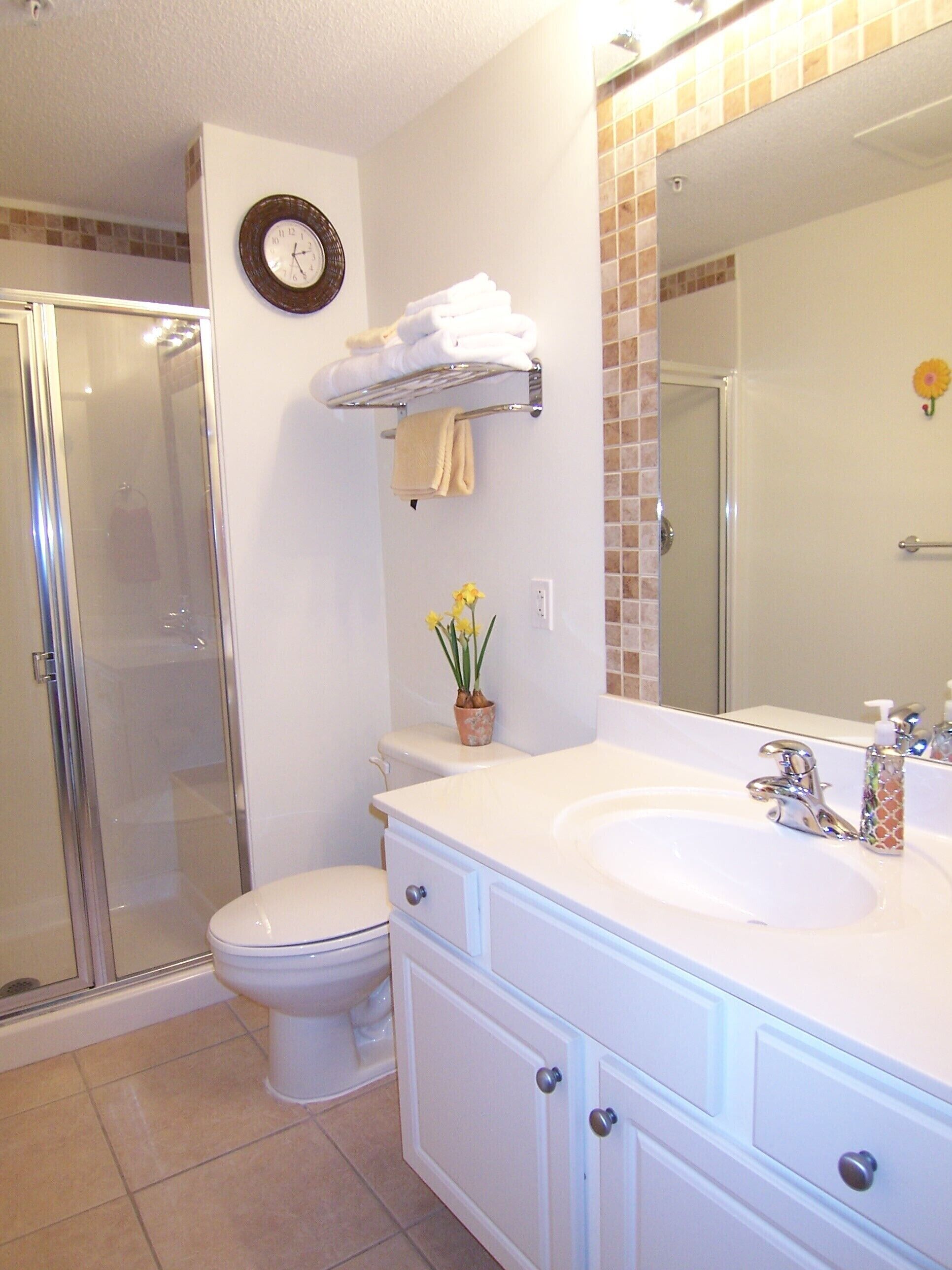 Hair dryer, towels, toilet paper