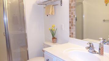 Hair dryer, towels, toilet paper