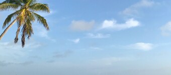 Lotus Lane Ocean View Cottage