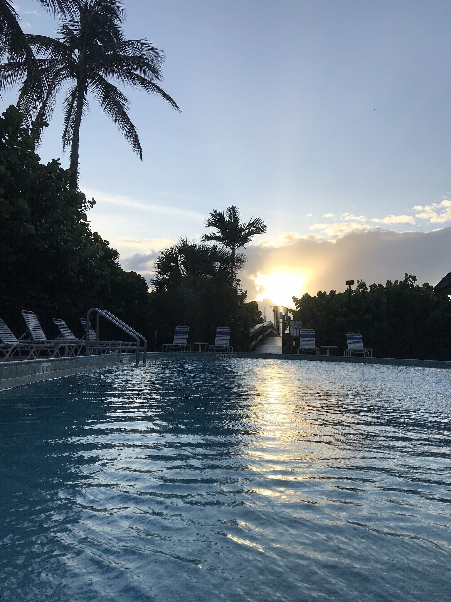 室外泳池、暖水池