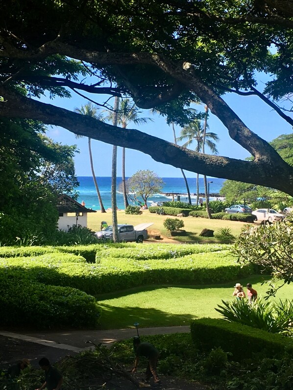 A lush garden with manicured hedges, palm trees, and a view of the ocean.