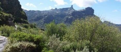Paisagem montanhosa com vegetação densa e céu claro.