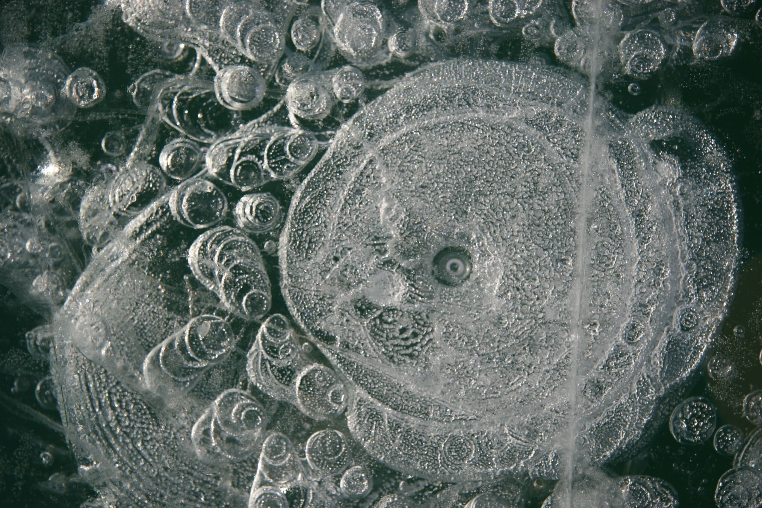 A close-up of a textured surface with circular patterns and bubbles, likely a scientific or industrial material.