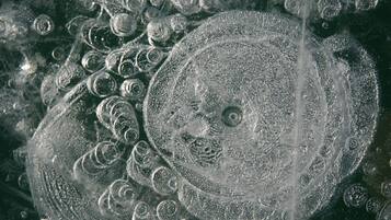 A close-up of a textured surface with circular patterns and bubbles, likely a scientific or industrial material.
