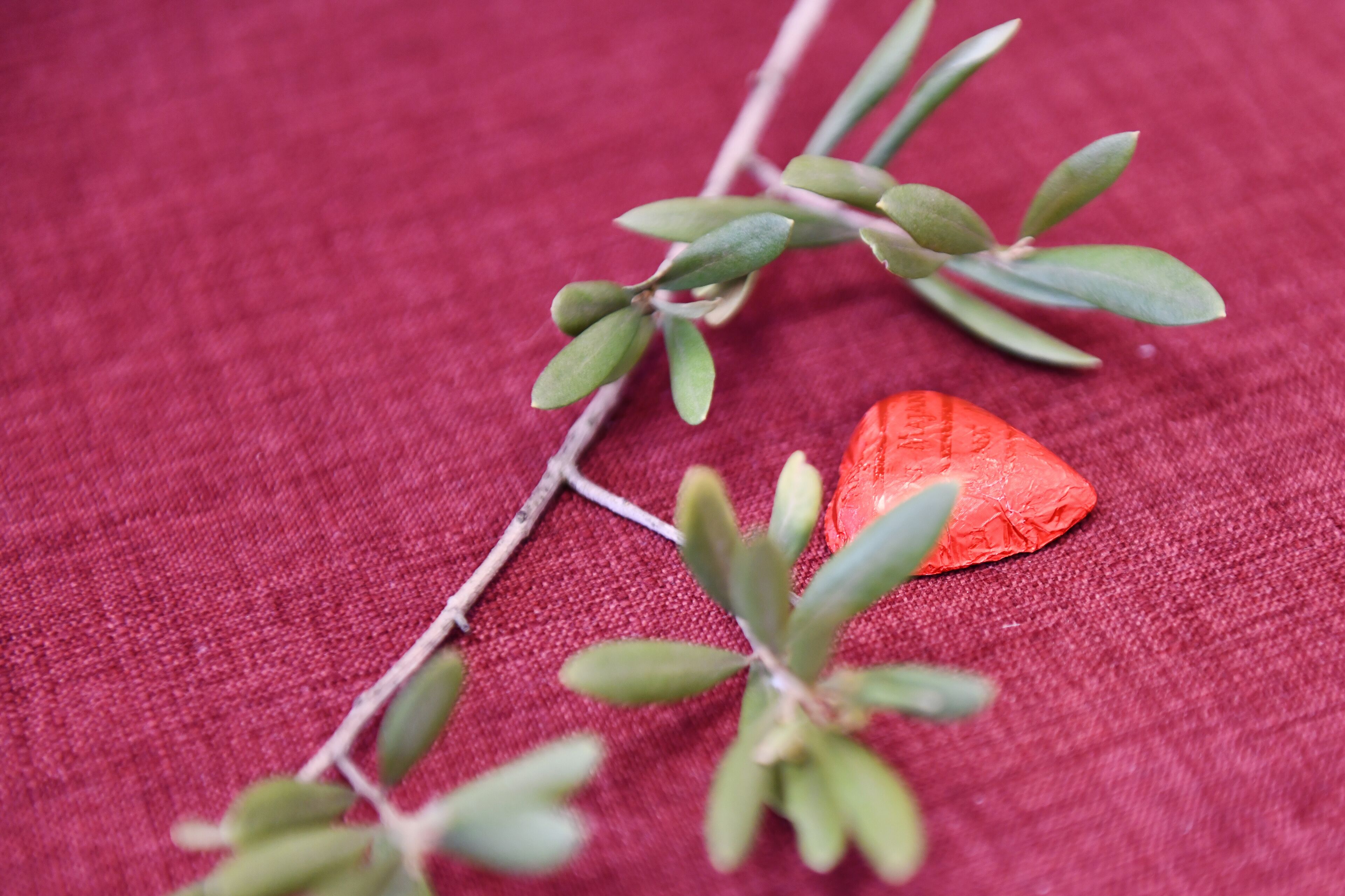 A branch with green leaves and a red heart-shaped object on a red fabric background.