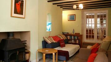 Smart TV, fireplace, DVD player, books