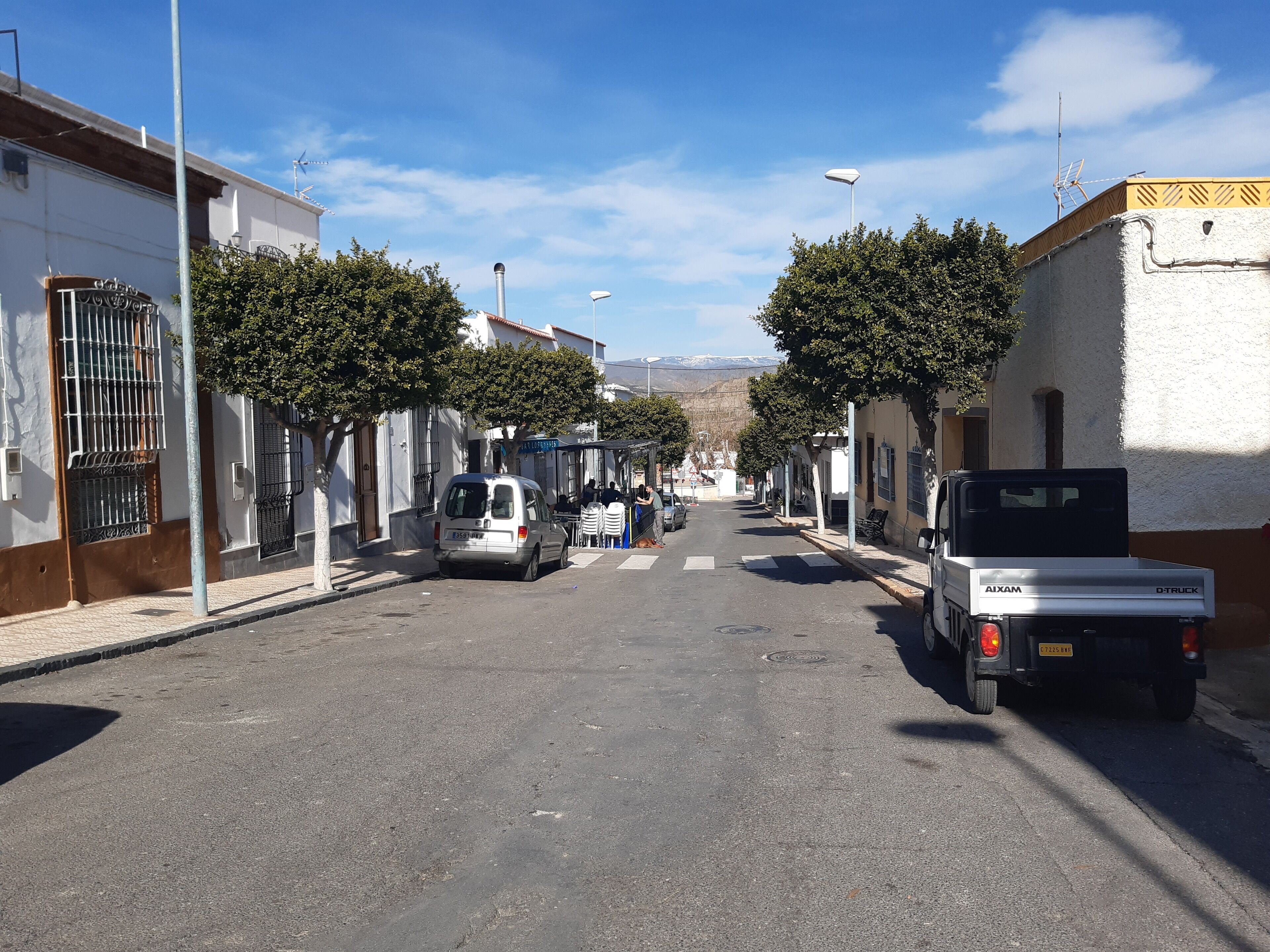 A street with parked cars, buildings, and trees.